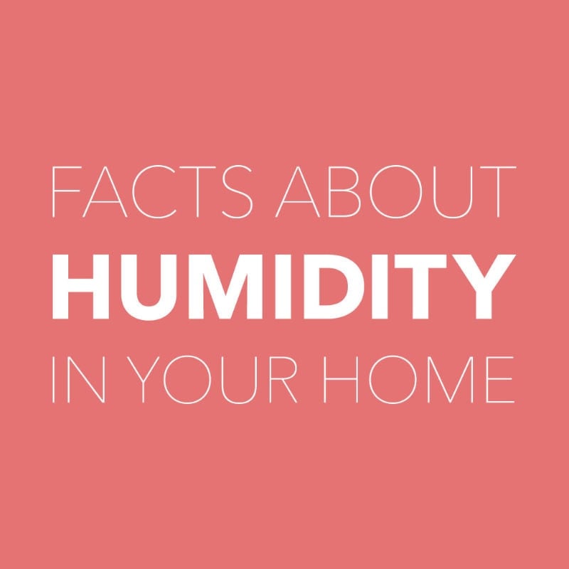Video – Facts About Humidity