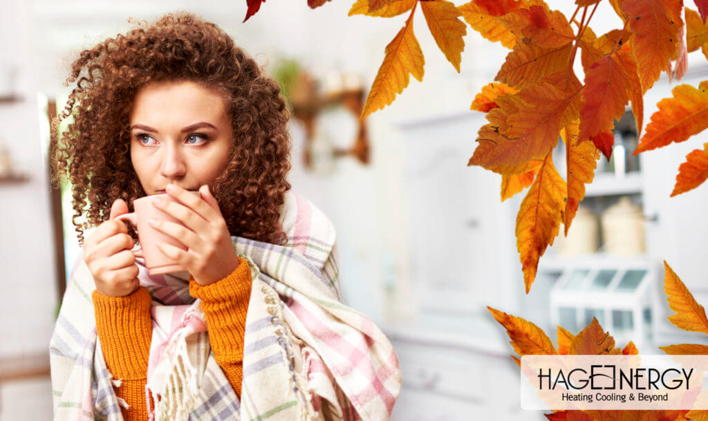 Why Houston Area Homeowners Should Never Skip Fall Maintenance of HVAC Systems and Furnaces