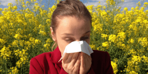 Indoor Air Quality and Houston’s Top 20 Allergens in Spring and Summer